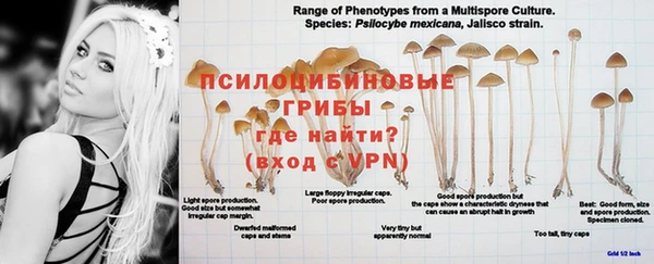 дистиллят марихуана Балахна