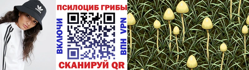 Галлюциногенные грибы ЛСД  Шумерля 
